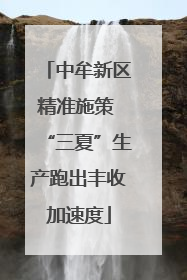 中牟新区精准施策 “三夏”生产跑出丰收加速度