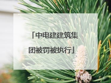 中电建建筑集团被罚被执行