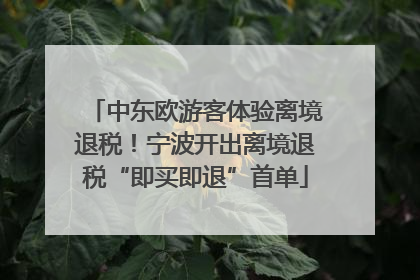 中东欧游客体验离境退税！宁波开出离境退税“即买即退”首单