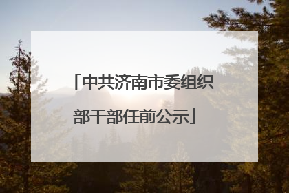 中共济南市委组织部干部任前公示