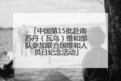 中国第15批赴南苏丹（瓦乌）维和部队参加联合国维和人员日纪念活动
