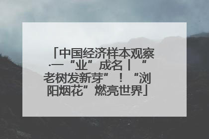 中国经济样本观察·一“业”成名丨“老树发新芽”！“浏阳烟花”燃亮世界
