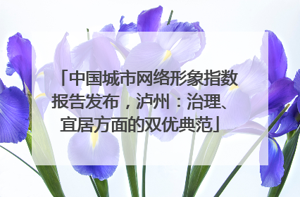 中国城市网络形象指数报告发布，泸州：治理、宜居方面的双优典范