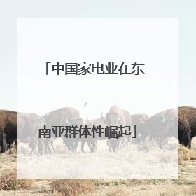 中国家电业在东南亚群体性崛起