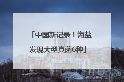 中国新记录！海盐发现大型真菌6种