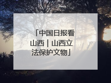 中国日报看山西｜山西立法保护文物