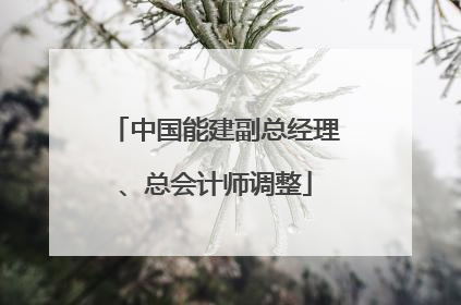 中国能建副总经理、总会计师调整