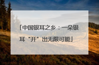 中国银耳之乡：一朵银耳“开”出无限可能