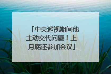 中央巡视期间他主动交代问题！上月底还参加会议