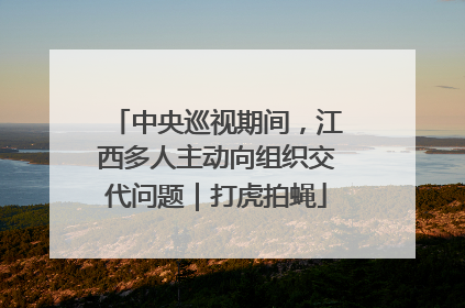 中央巡视期间，江西多人主动向组织交代问题｜打虎拍蝇
