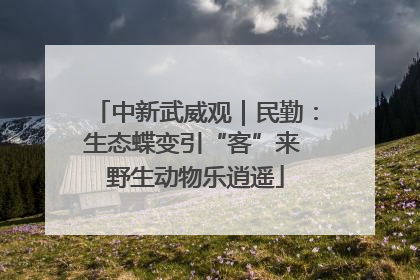 中新武威观｜民勤：生态蝶变引“客”来 野生动物乐逍遥