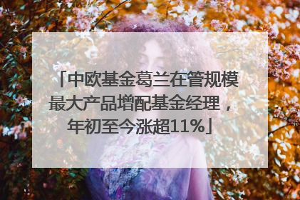 中欧基金葛兰在管规模最大产品增配基金经理，年初至今涨超11%