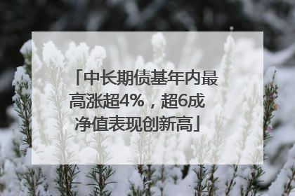 中长期债基年内最高涨超4%，超6成净值表现创新高