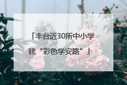 丰台近30所中小学建“彩色学安路”