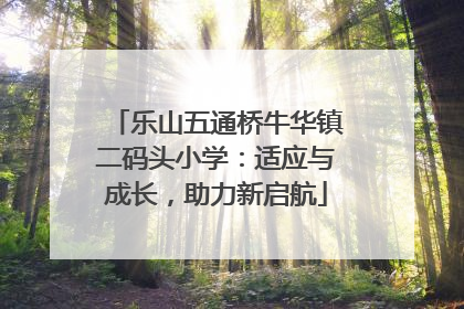乐山五通桥牛华镇二码头小学：适应与成长，助力新启航