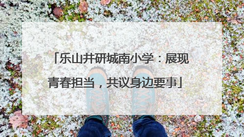 乐山井研城南小学：展现青春担当，共议身边要事