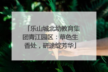 乐山城北幼教育集团青江园区：草色生香处，研途绽芳华