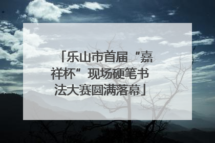乐山市首届“嘉祥杯”现场硬笔书法大赛圆满落幕