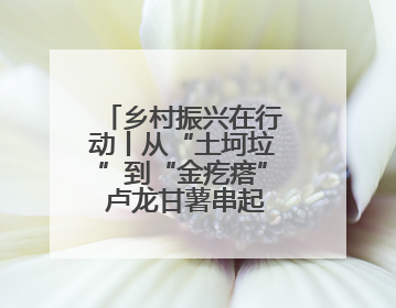 乡村振兴在行动丨从“土坷垃”到“金疙瘩” 卢龙甘薯串起富民产业链