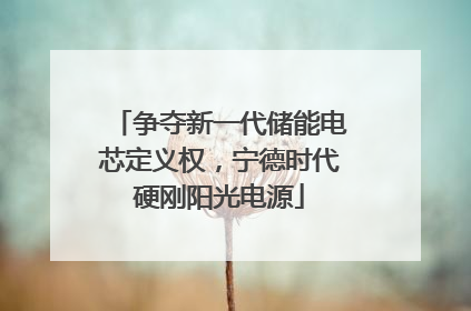 争夺新一代储能电芯定义权，宁德时代硬刚阳光电源