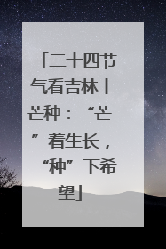 二十四节气看吉林丨芒种：“芒”着生长，“种”下希望
