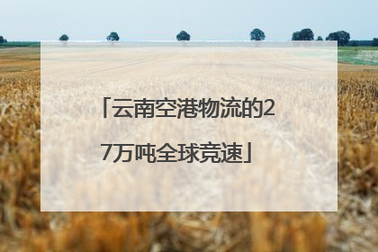 云南空港物流的27万吨全球竞速