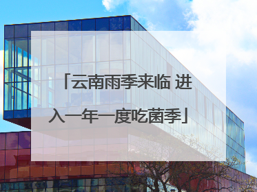 云南雨季来临 进入一年一度吃菌季