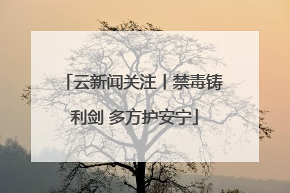 云新闻关注丨禁毒铸利剑 多方护安宁