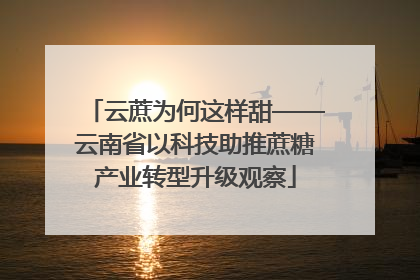 云蔗为何这样甜——云南省以科技助推蔗糖产业转型升级观察