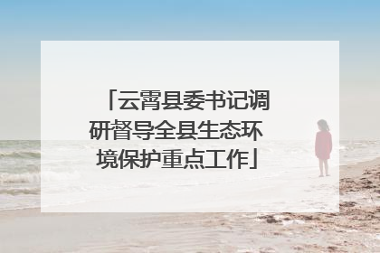 云霄县委书记调研督导全县生态环境保护重点工作