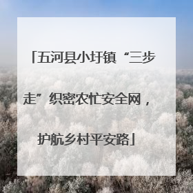 五河县小圩镇“三步走”织密农忙安全网，护航乡村平安路