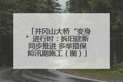 井冈山大桥“变身”进行时：拆旧建新同步推进 多举措保障汛期施工（图）