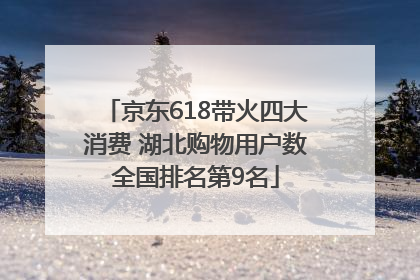 京东618带火四大消费 湖北购物用户数全国排名第9名