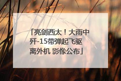 亮剑西太！大雨中歼-15带弹起飞驱离外机 影像公布