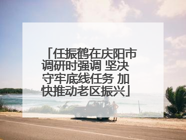 任振鹤在庆阳市调研时强调 坚决守牢底线任务 加快推动老区振兴