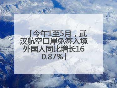 今年1至5月，武汉航空口岸免签入境外国人同比增长160.87%