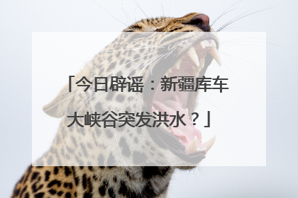 今日辟谣：新疆库车大峡谷突发洪水？