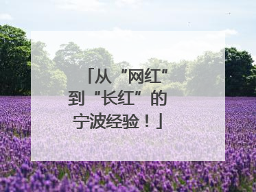从“网红”到“长红”的宁波经验！