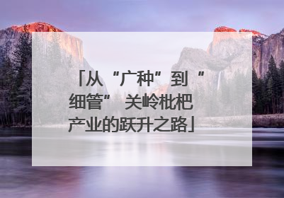 从“广种”到“细管” 关岭枇杷产业的跃升之路