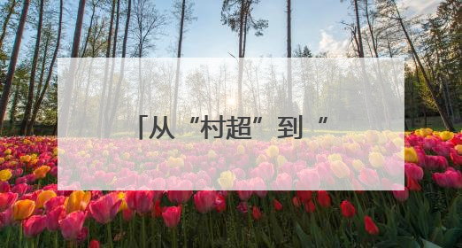 从“村超”到“苏超”，从“追球”到“追求”