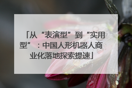 从“表演型”到“实用型”：中国人形机器人商业化落地探索提速