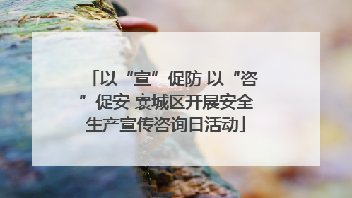 以“宣”促防 以“咨”促安 襄城区开展安全生产宣传咨询日活动
