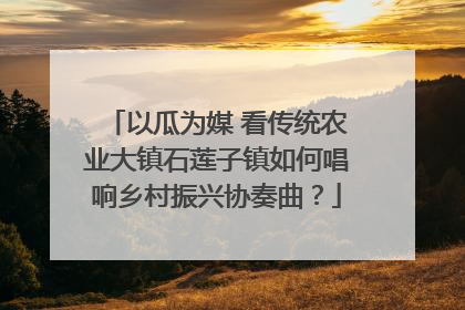 以瓜为媒 看传统农业大镇石莲子镇如何唱响乡村振兴协奏曲？
