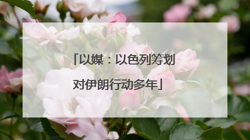 以媒：以色列筹划对伊朗行动多年