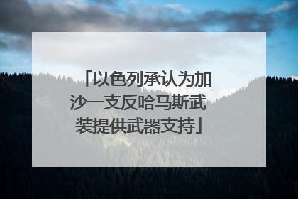以色列承认为加沙一支反哈马斯武装提供武器支持