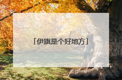伊旗是个好地方