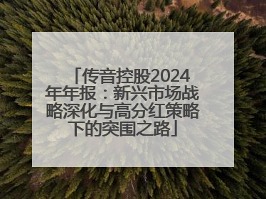 传音控股2024年年报：新兴市场战略深化与高分红策略下的突围之路