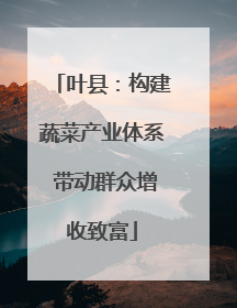 叶县：构建蔬菜产业体系 带动群众增收致富