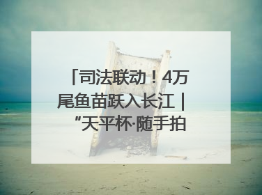 司法联动！4万尾鱼苗跃入长江｜“天平杯·随手拍”作品展播