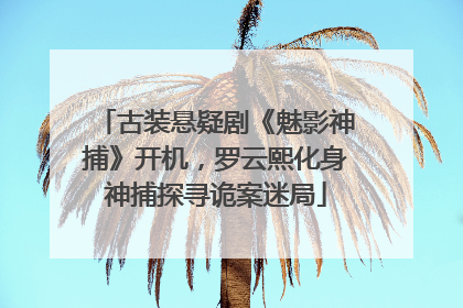 古装悬疑剧《魅影神捕》开机，罗云熙化身神捕探寻诡案迷局